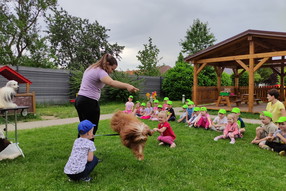 IMG_20240531_095405_1