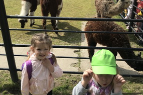 52BBFEE4-BFDC-4A71-BDC3-914A78C510E2