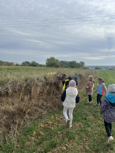 image12