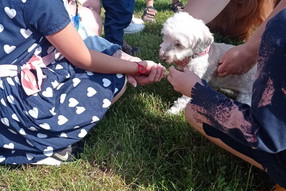 Messenger_creation_5fc264e6-77a3-4613-be54-34bd92574d8a