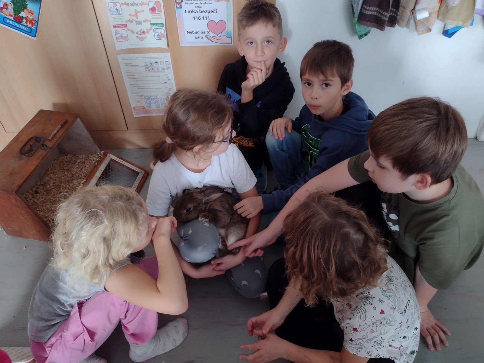 IMG_20251031_105354423