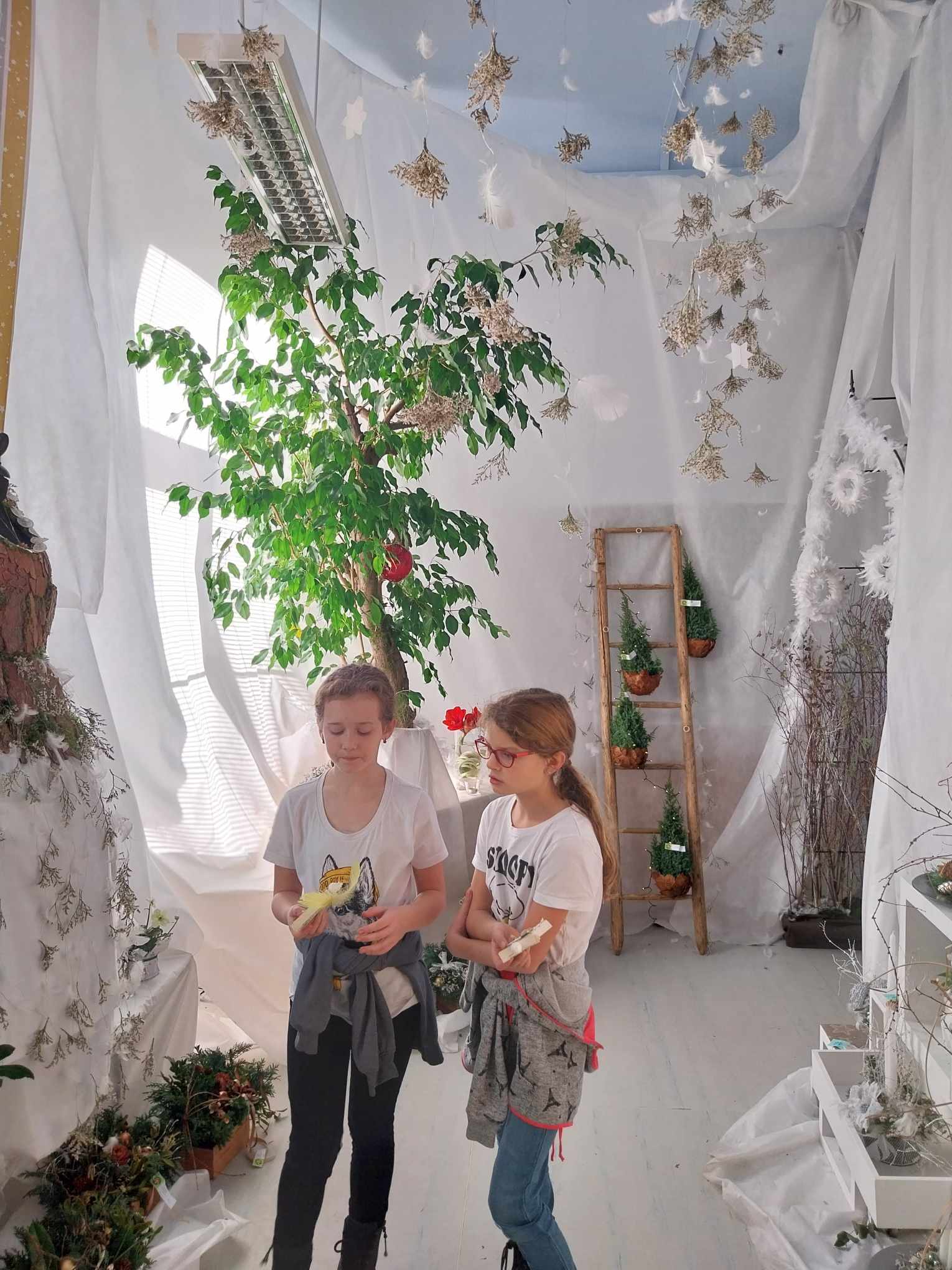 406670628_731237775616739_4592785911025194198_n