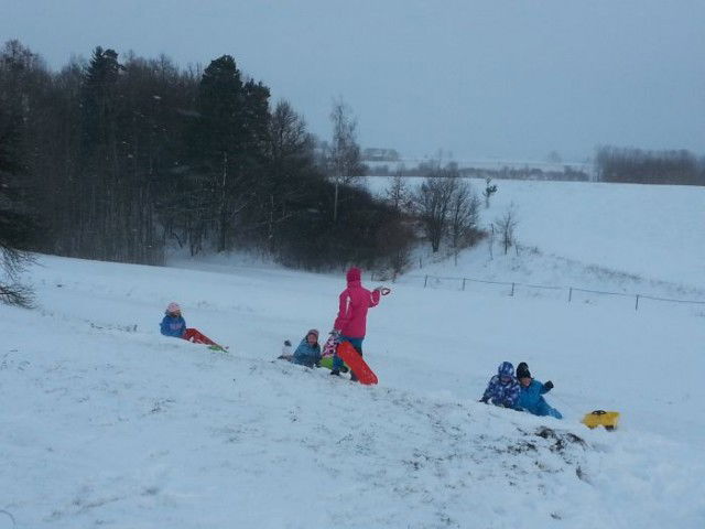 308-20170105_100953-c