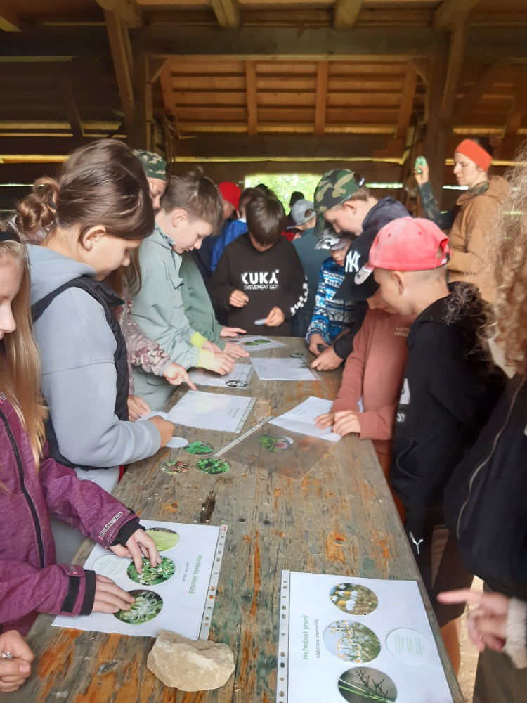 program Kmoškovi VII