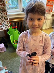 2im5yn4m33th508wqc8cmcfsezf2v8-0x300