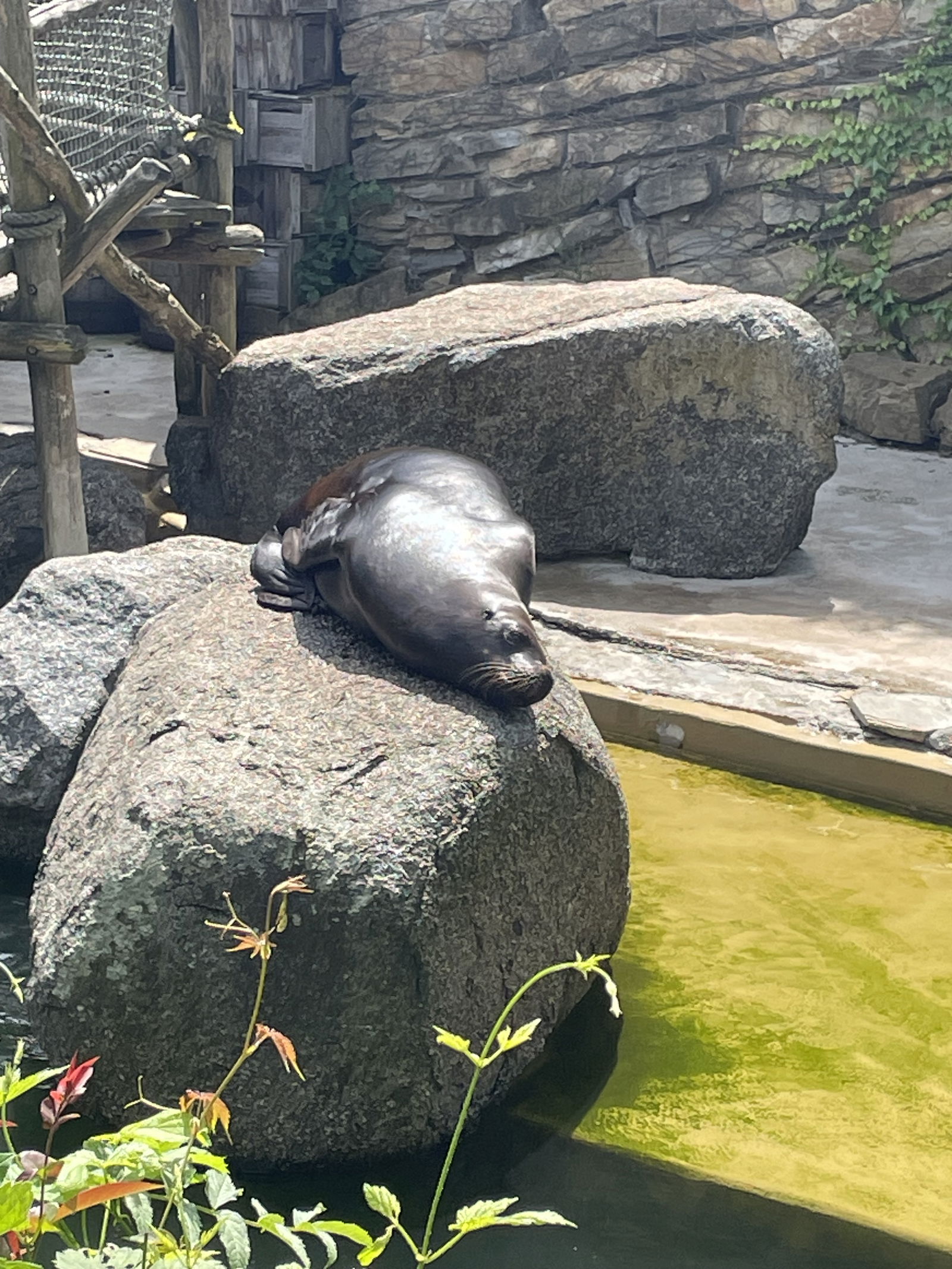 i4ax35x368ekwk1jvcoj8