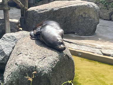 i4ax35x368ekwk1jvcoj8