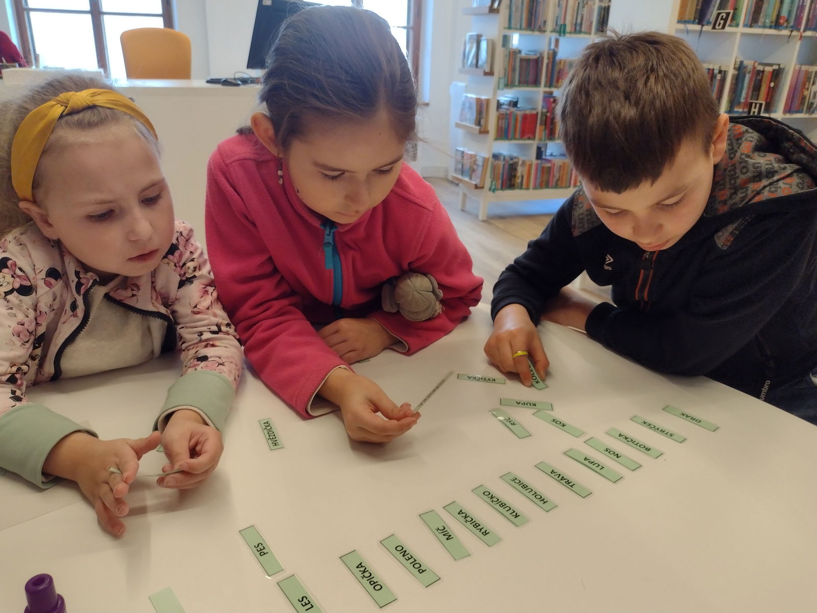 IMG_20260311_100215358