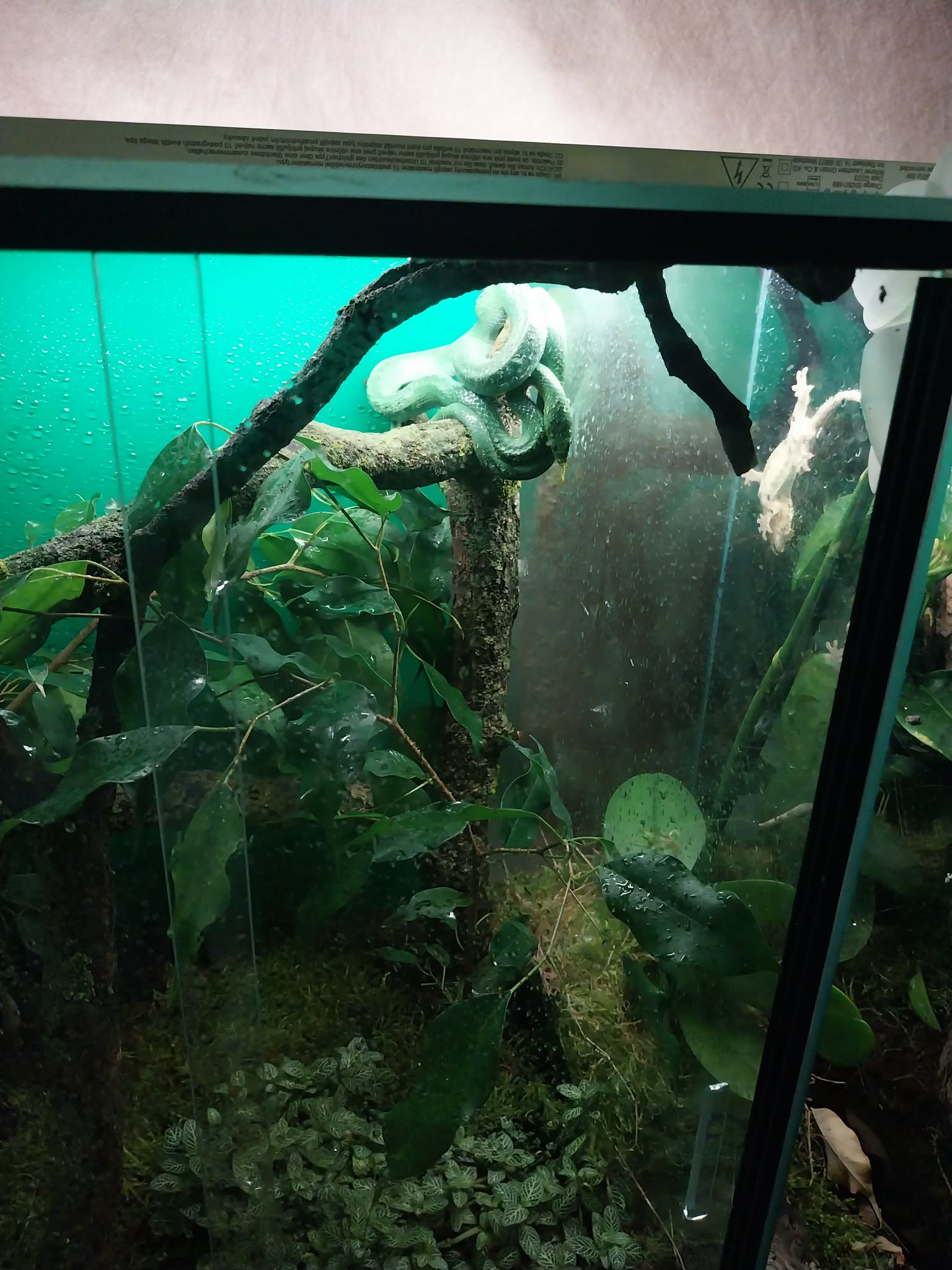 8e8fb5f5-fa23-4d40-8d74-5ef043404a09