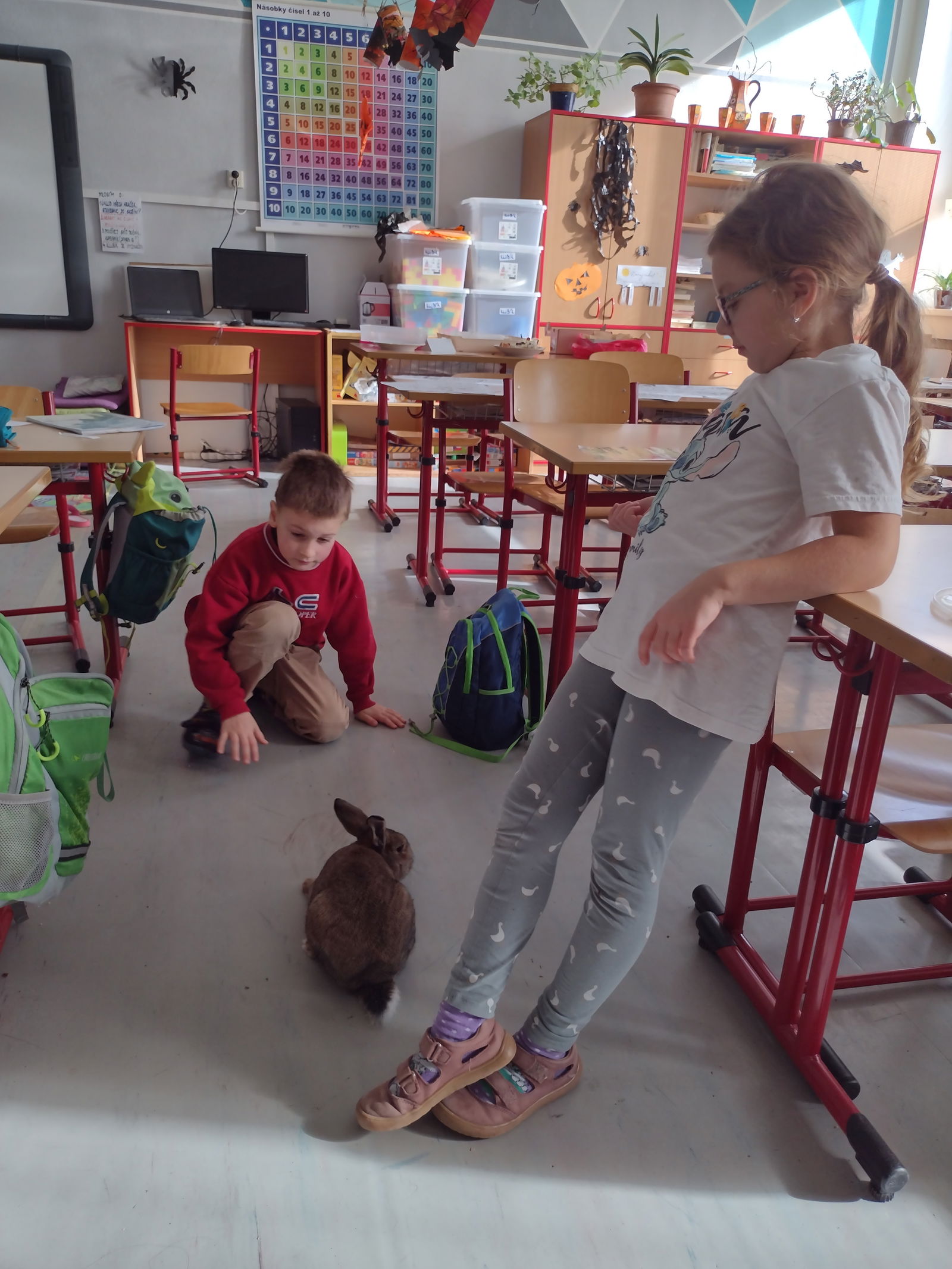 IMG_20251031_113124098_HDR