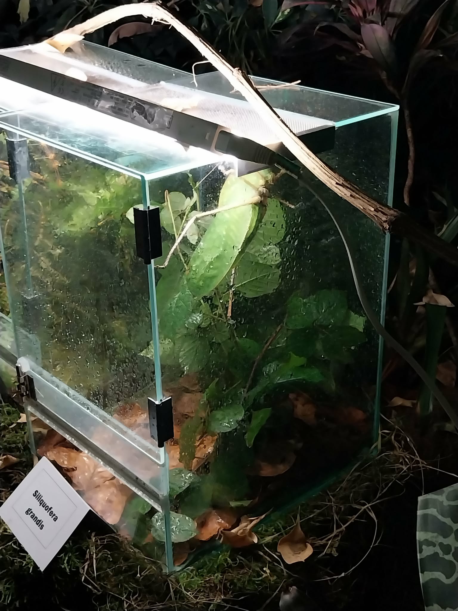 c735c8a8-a8e0-43a3-9d02-4de778c5e4d2