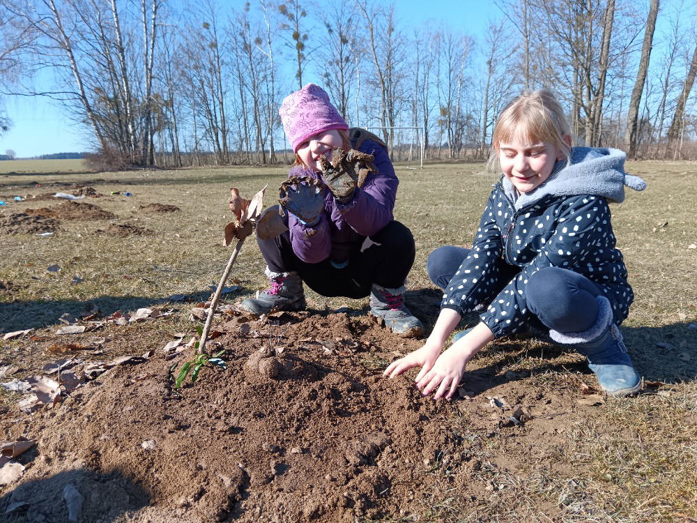 IMG_20250305_110220_1