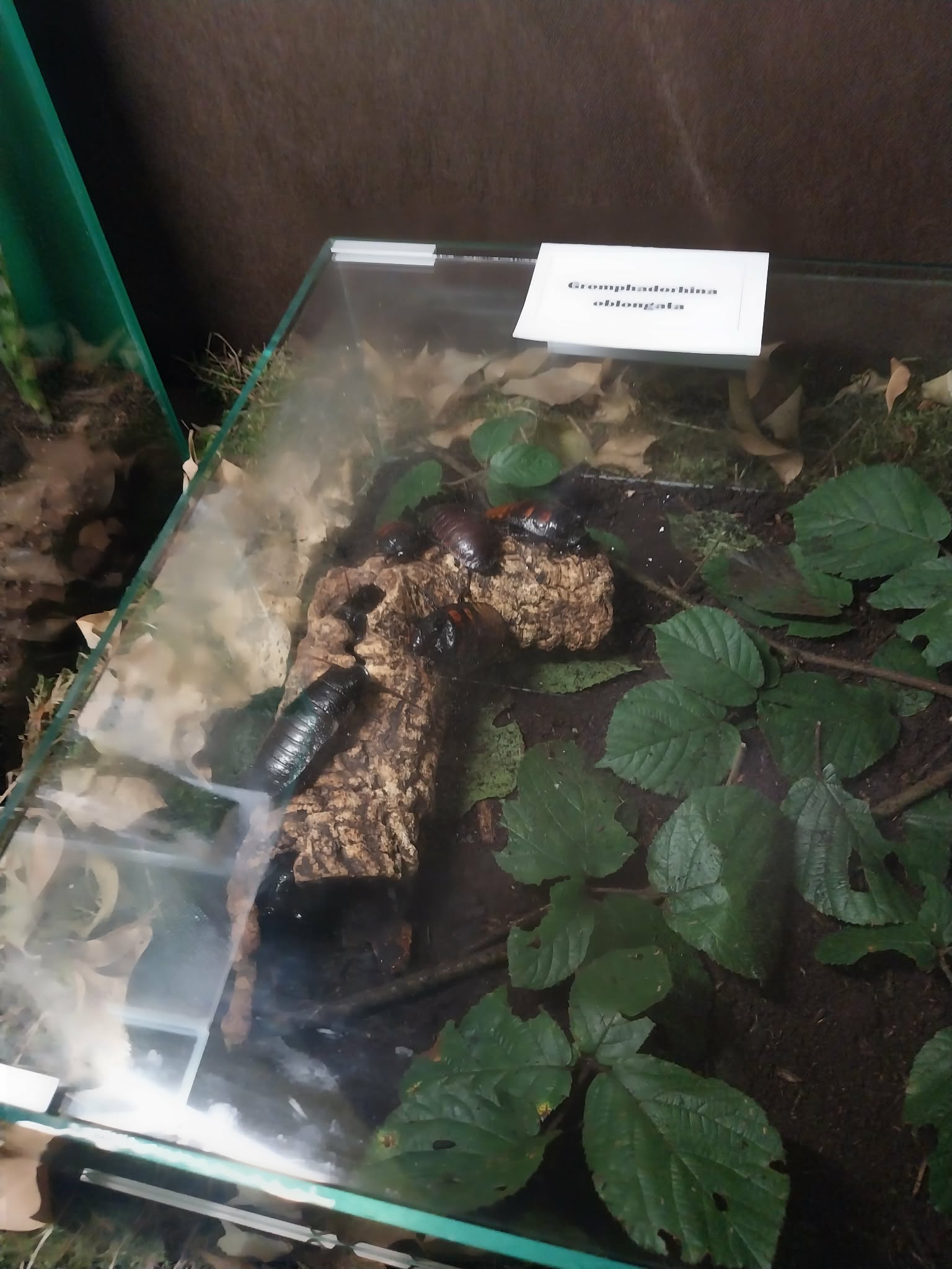 85f5c2e9-bb7f-4bad-8f75-0991880f6d49