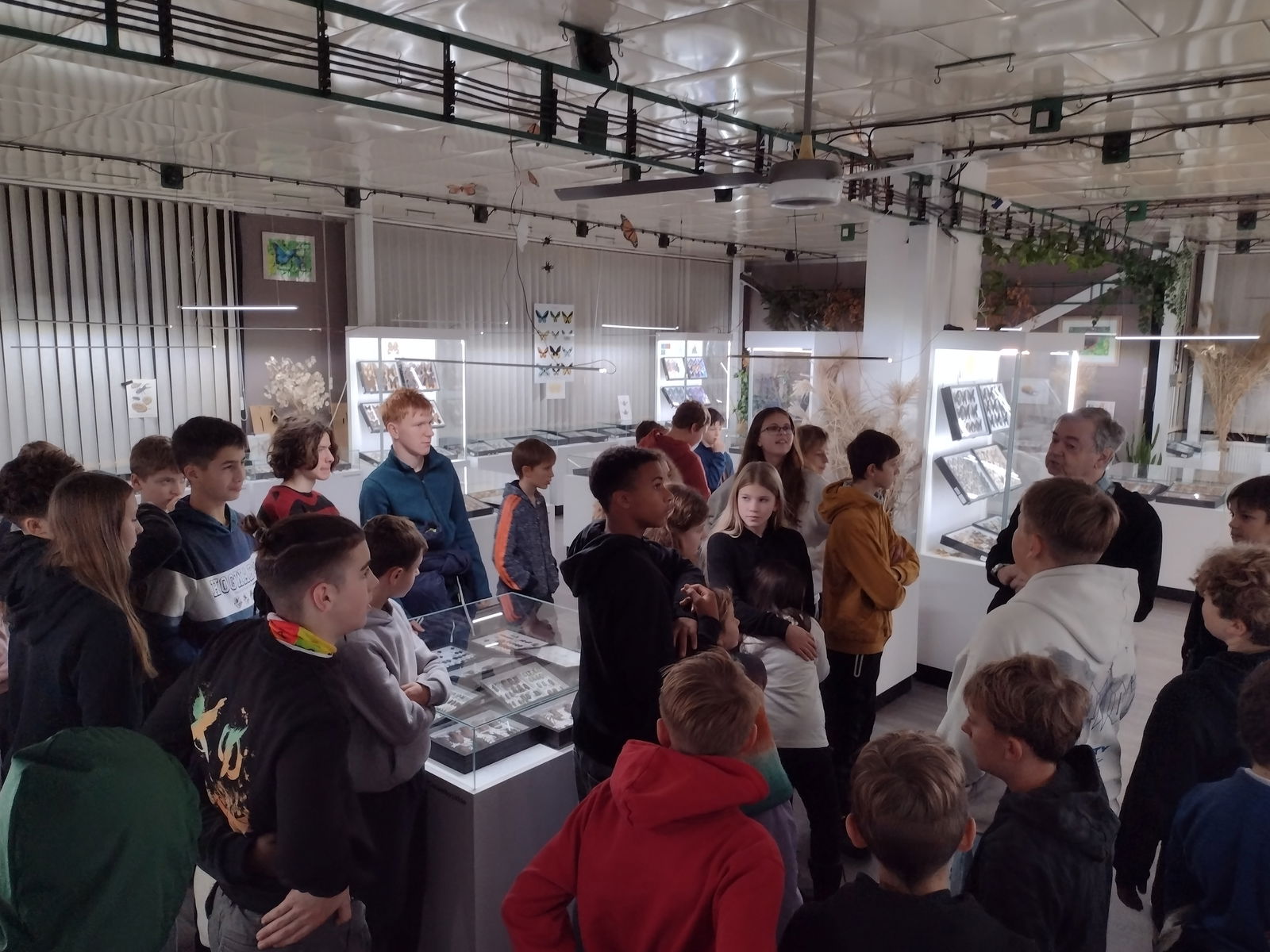 IMG_20251202_115019954