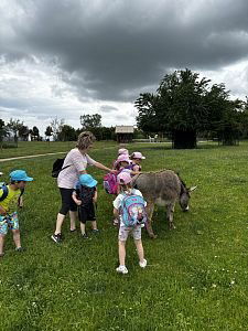 ek3bkfb1kgw7xh3p1818dug31qp3v0-0x300