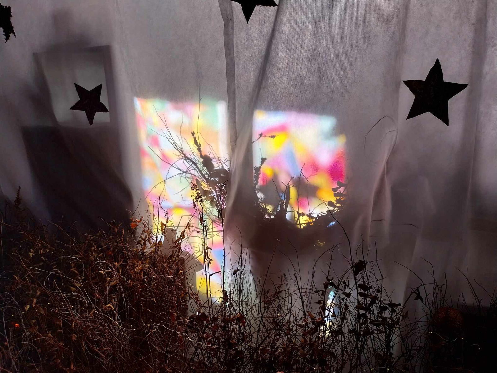 406638380_752449543361624_7992135827466472957_n - kopie