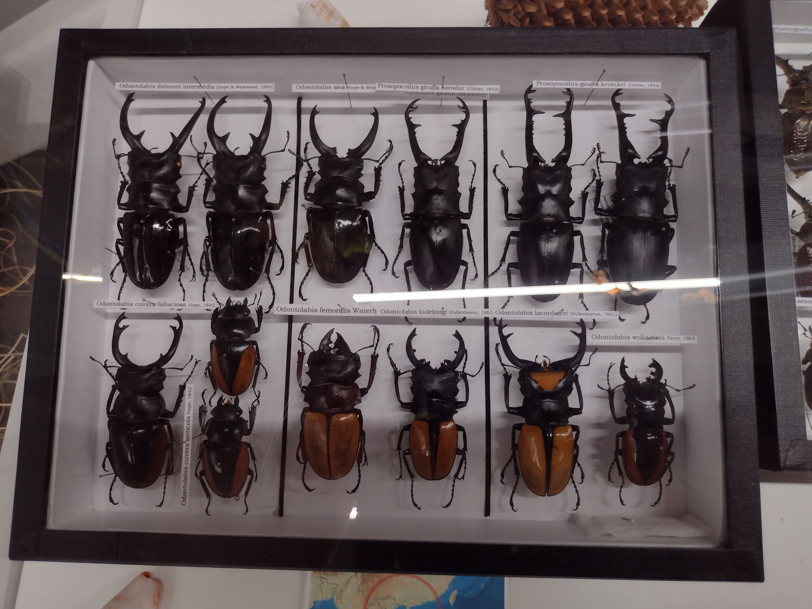 IMG_20251202_121408349