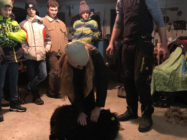 IMG-20221222-WA0003