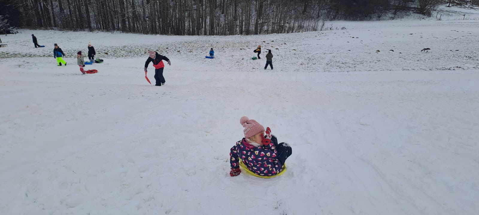 58b4d9c4-666d-43c2-bfe2-efa5789afca7