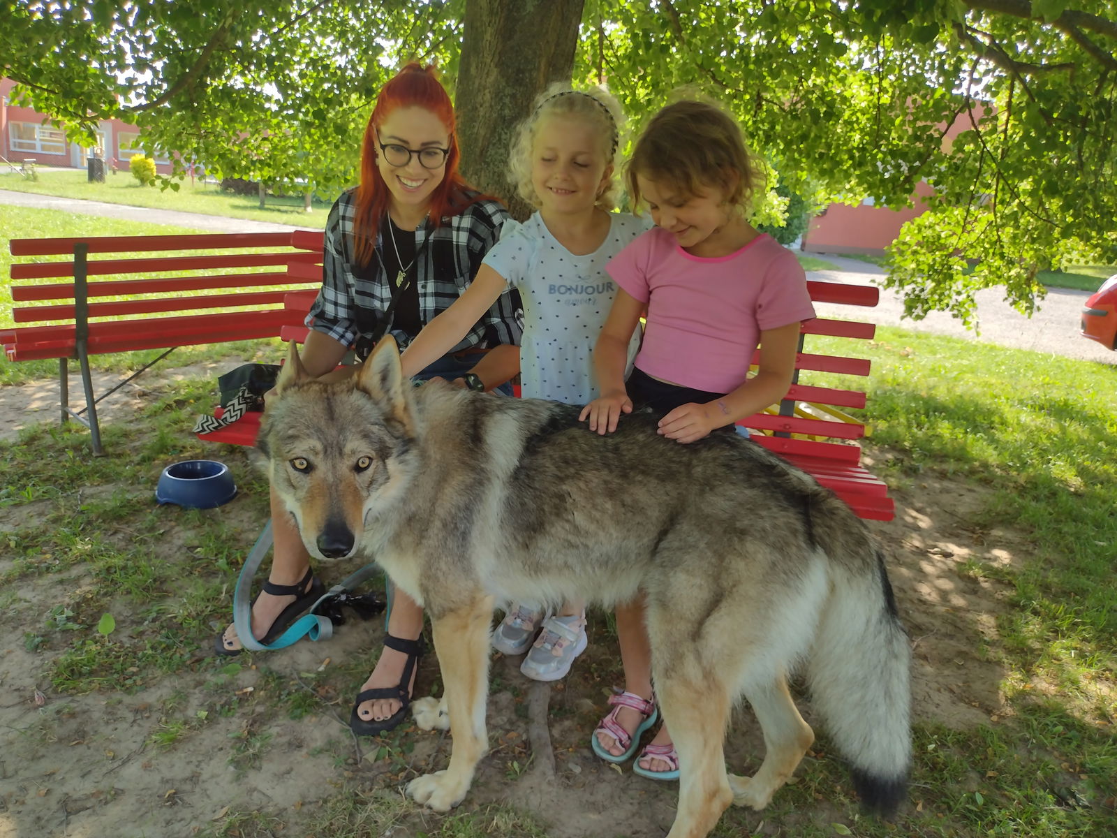 IMG_20250626_084155047_HDR