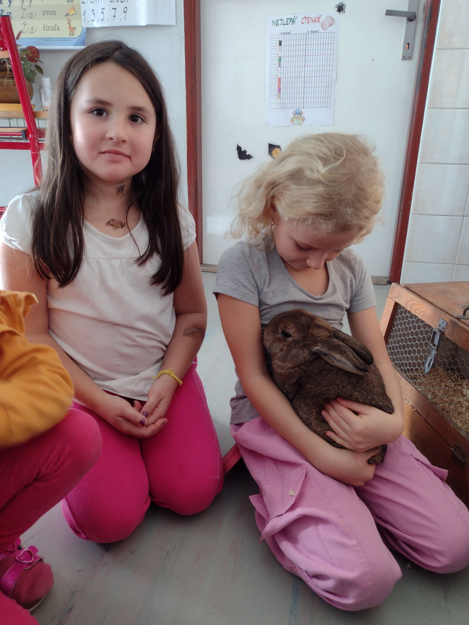 IMG_20251031_104243356