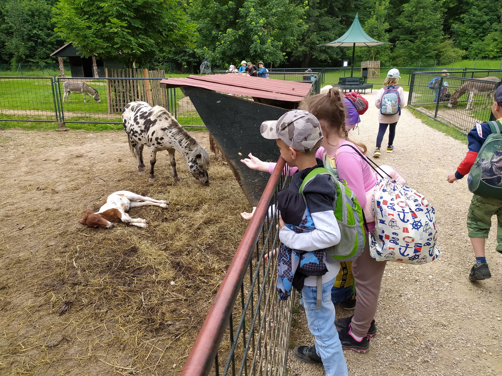 IMG_20240613_121134(1)