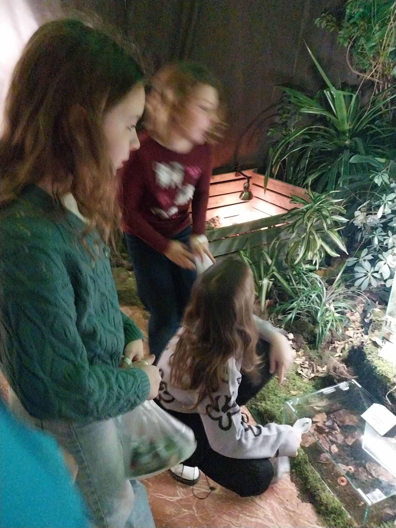 cfcdc3ae-90ea-40ed-a155-b83dcfdd3163