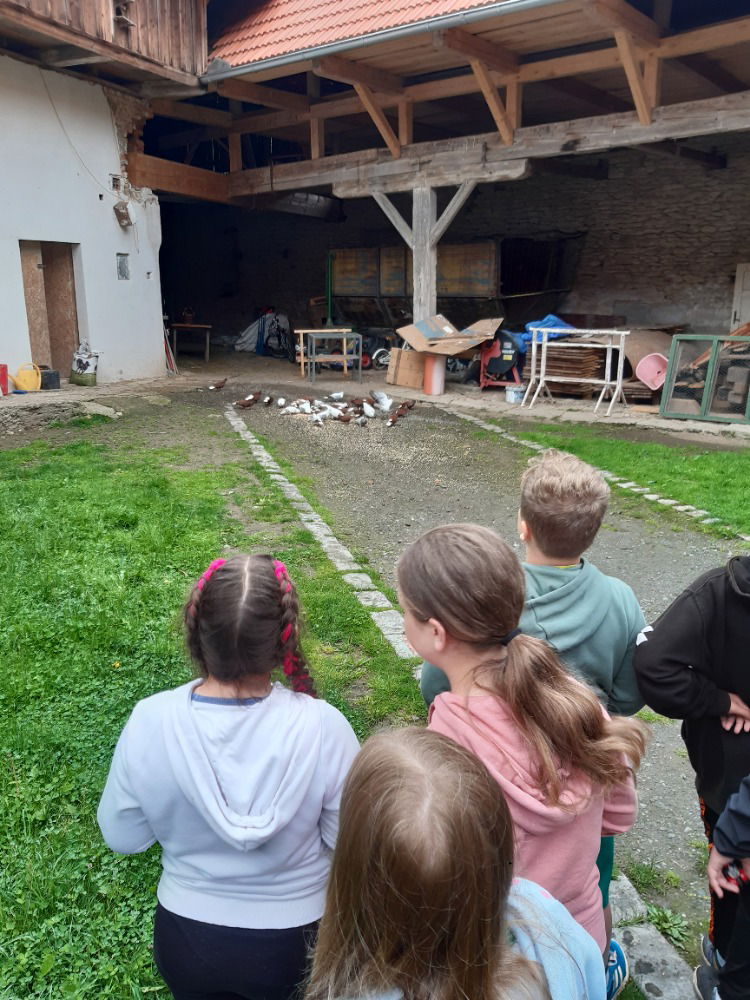 program Kmoškovi IX