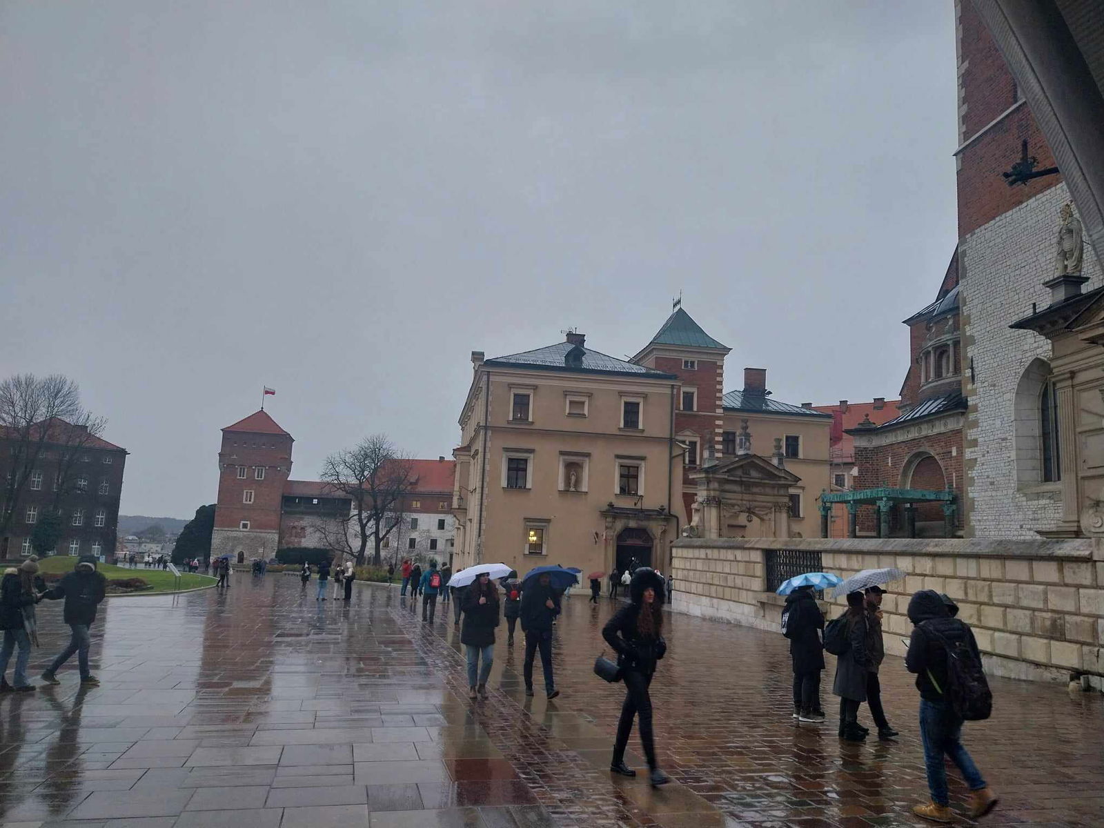 462584831_1169832044716306_2907320365114338013_n