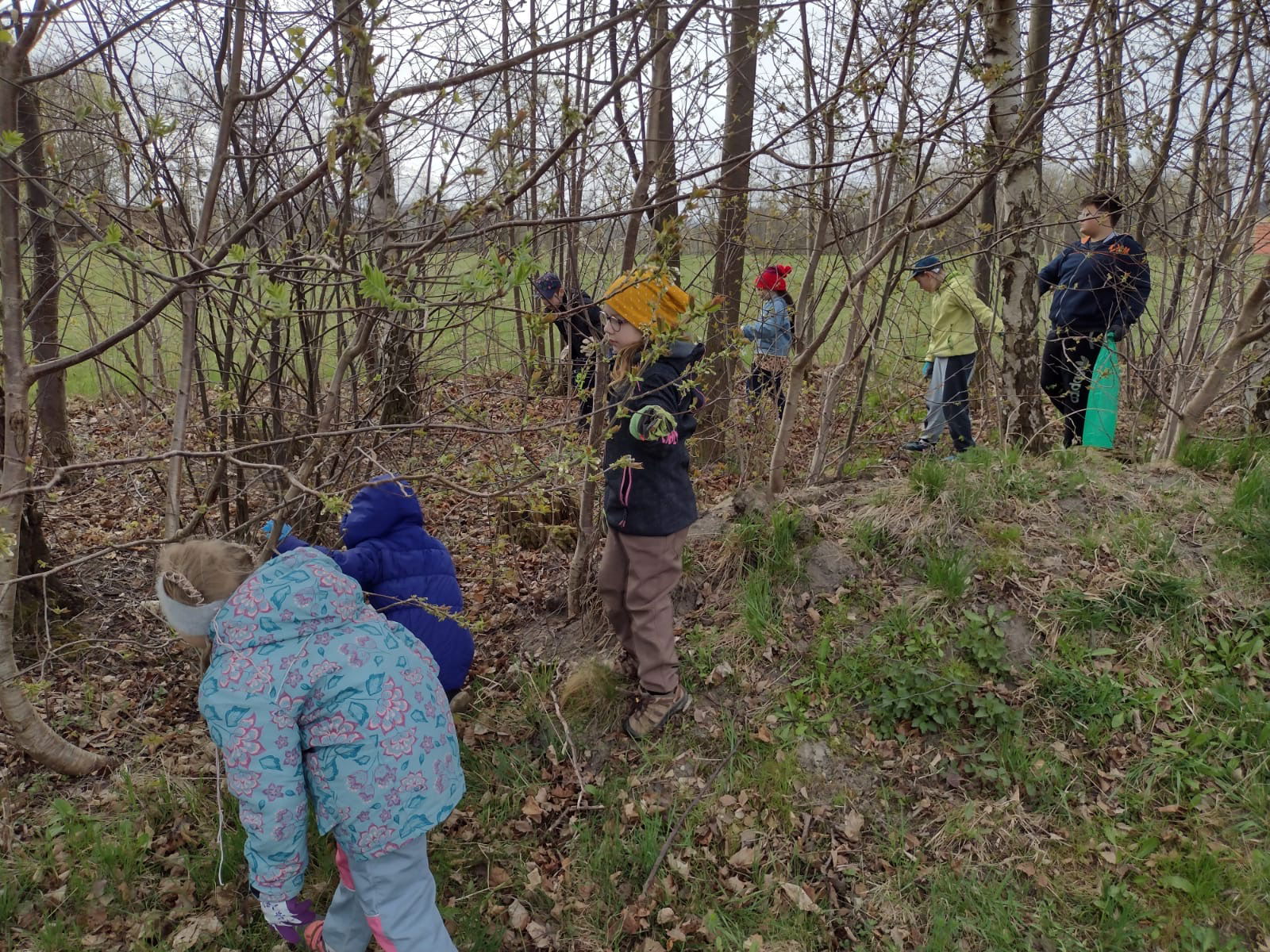 07fae281-f263-4120-b67b-4f0f590cc9df