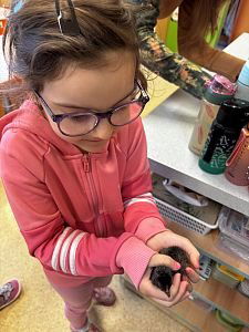 eicrdgajljz5520zq1n391lzvb1crz-0x300