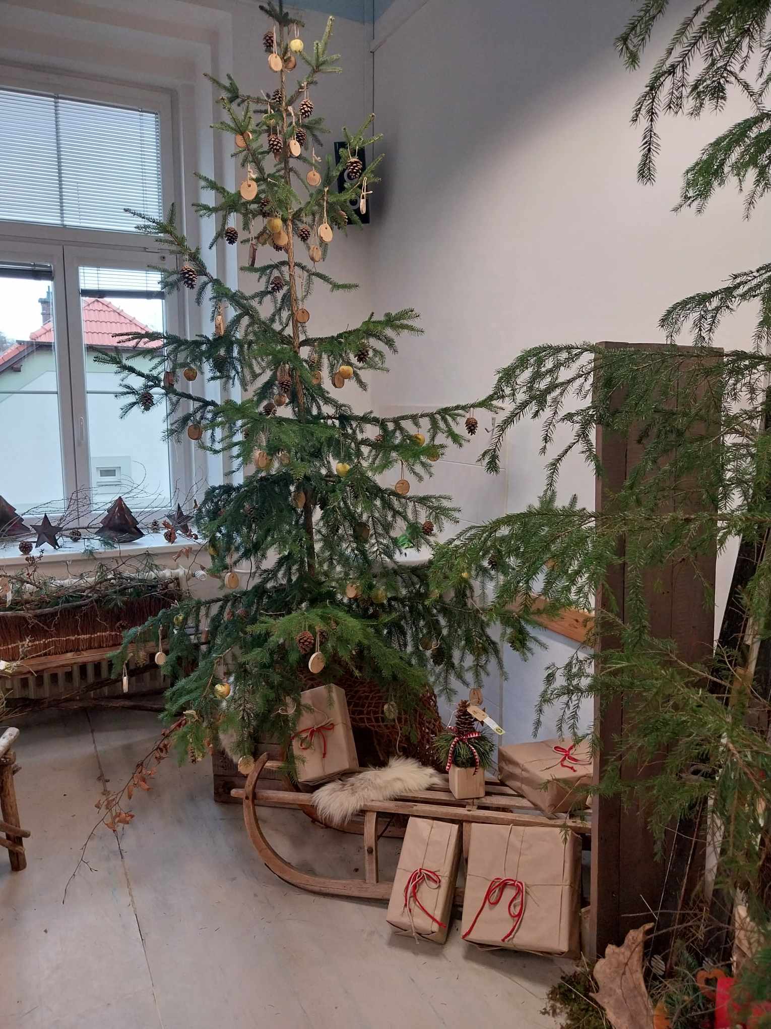 462583216_2707553302761211_418444924870858862_n