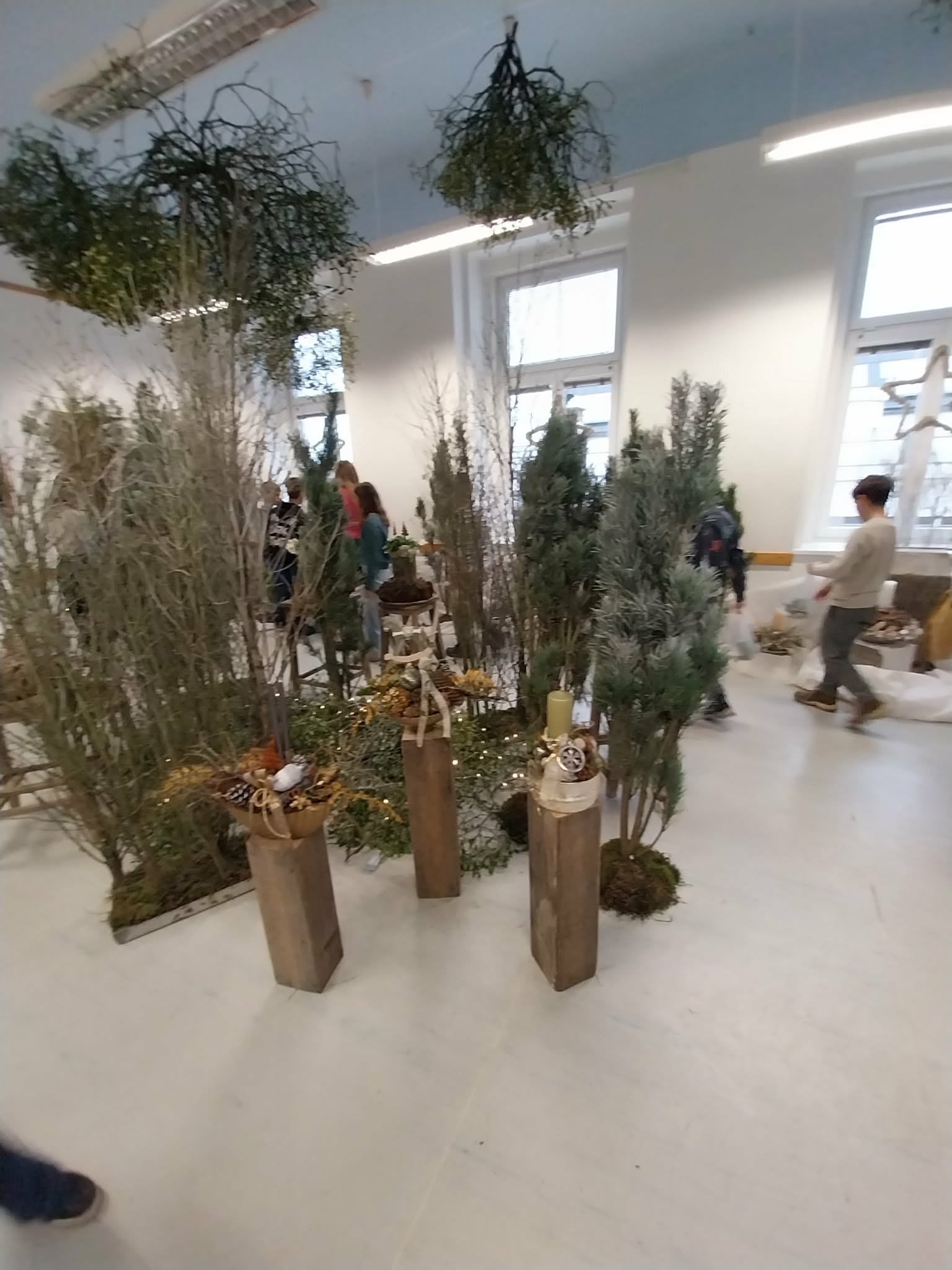 3bca23c5-da5a-474c-9532-c45e3c63bebe