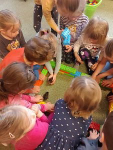 9xz1fgofvbkev9g44bgc2tbzeleepe-0x300