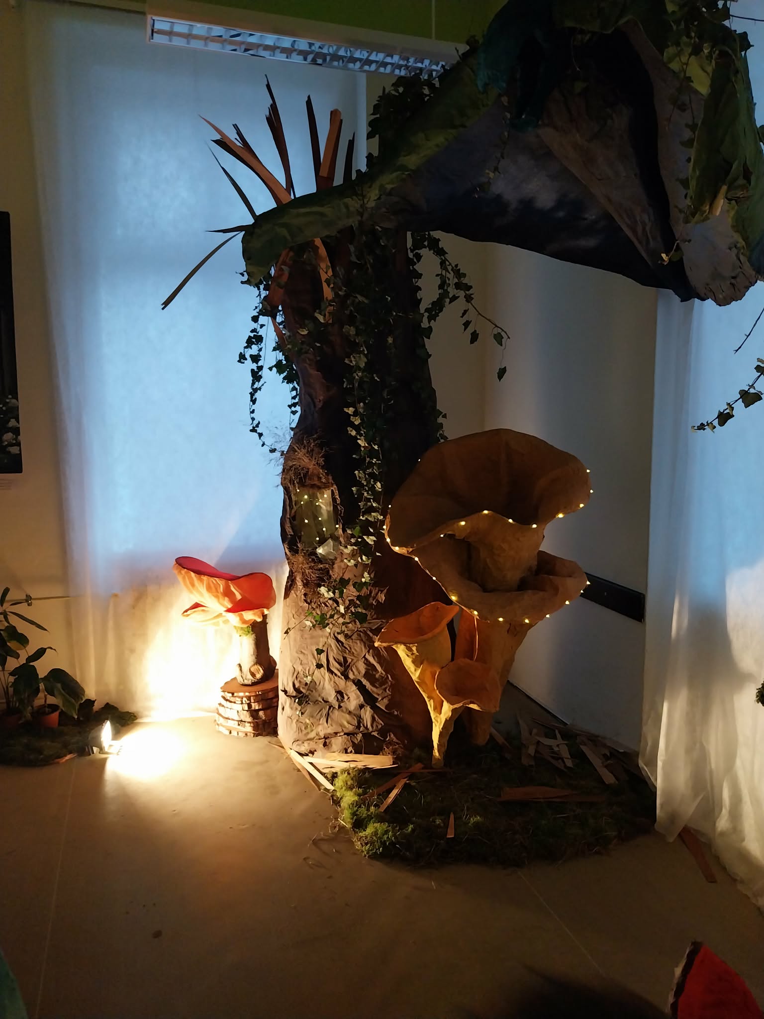 e8b944f0-643c-4eac-aa9c-004775b4f3e4