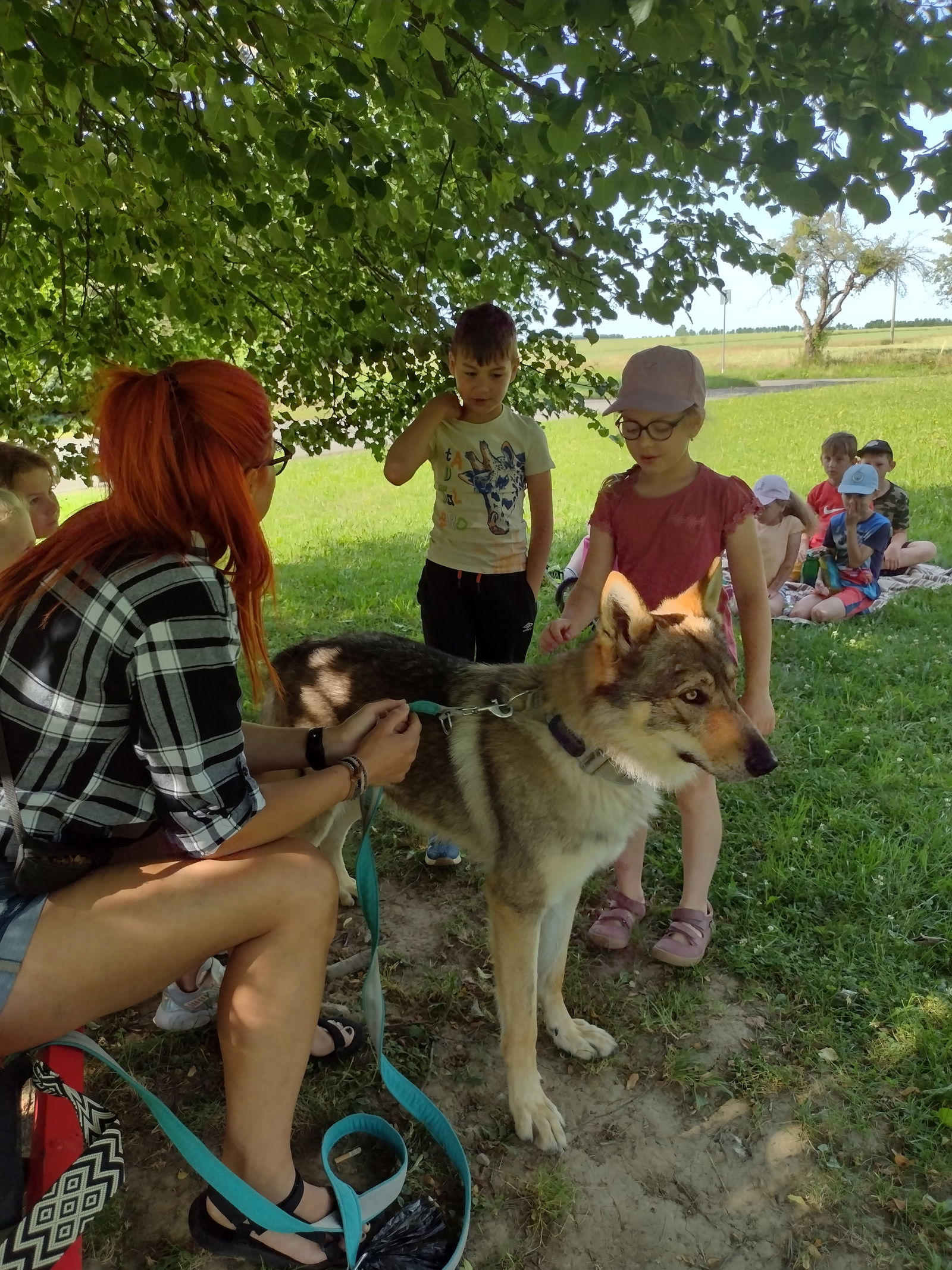 IMG_20250626_083748486_HDR