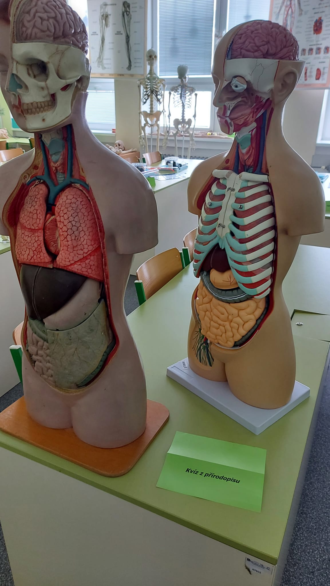 WhatsApp Image 2023-12-12 at 13.08.00