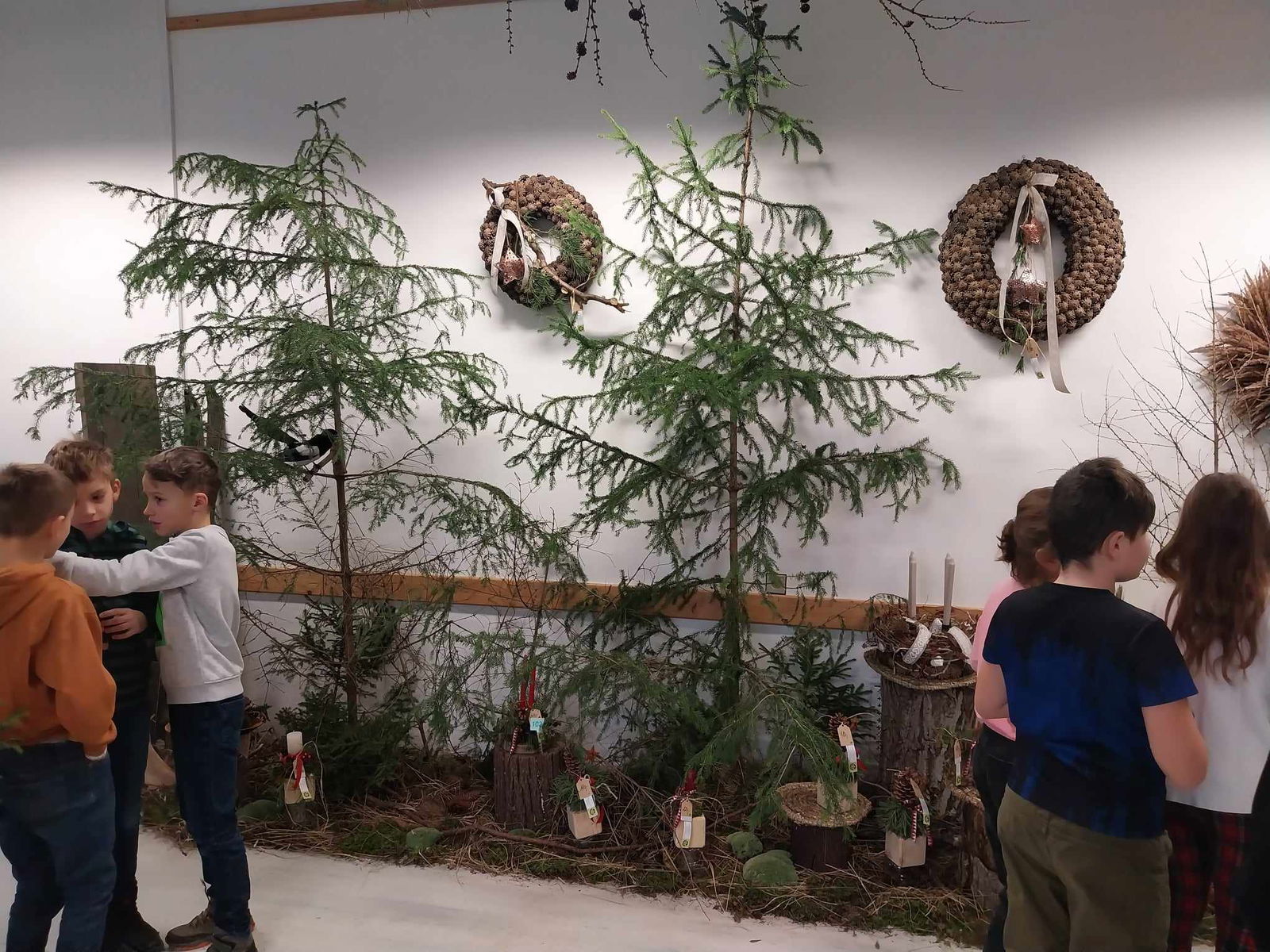 462572774_504327131979659_3171379896836391100_n