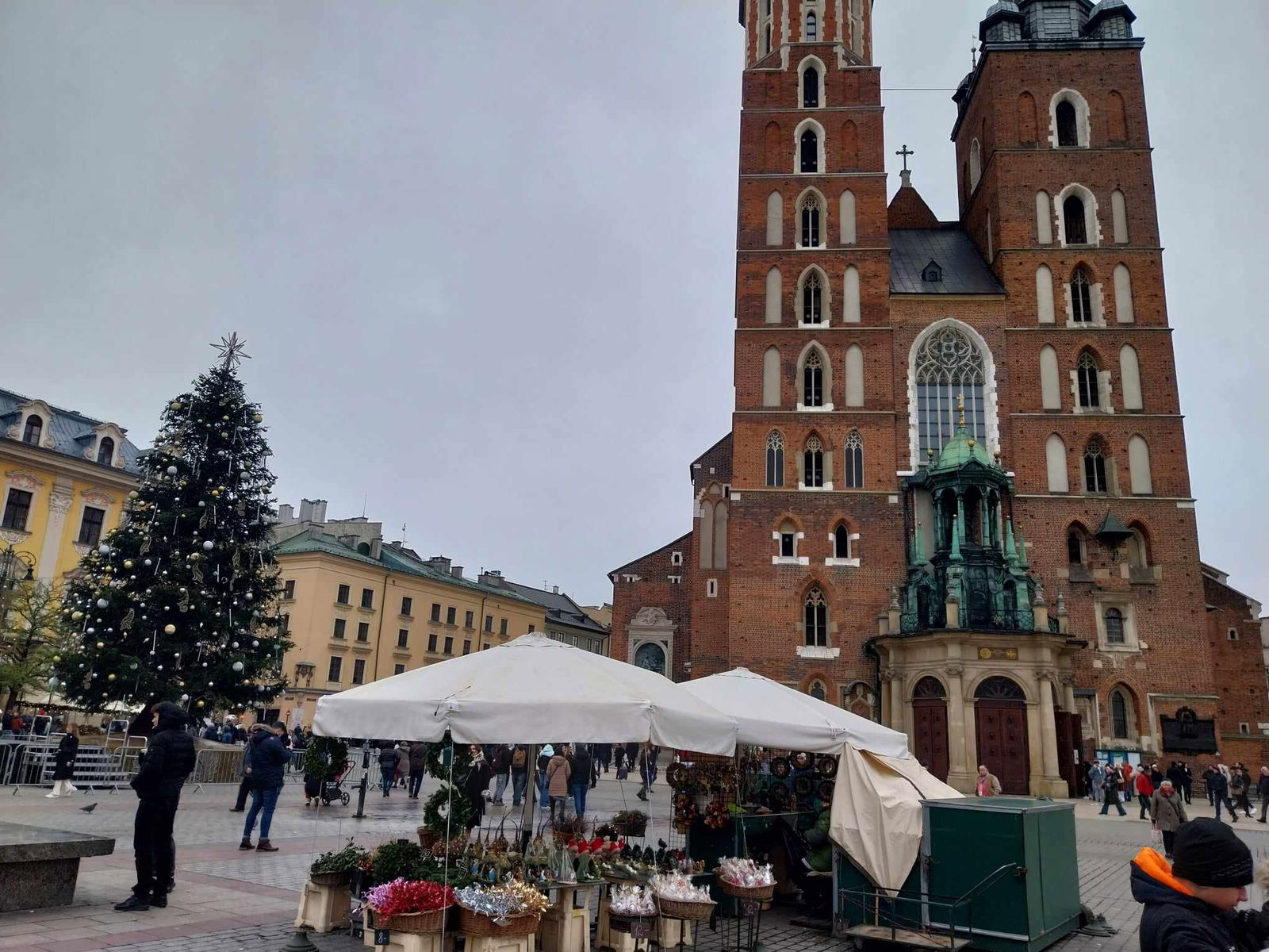 462569984_1514176632623032_6737596484357141079_n