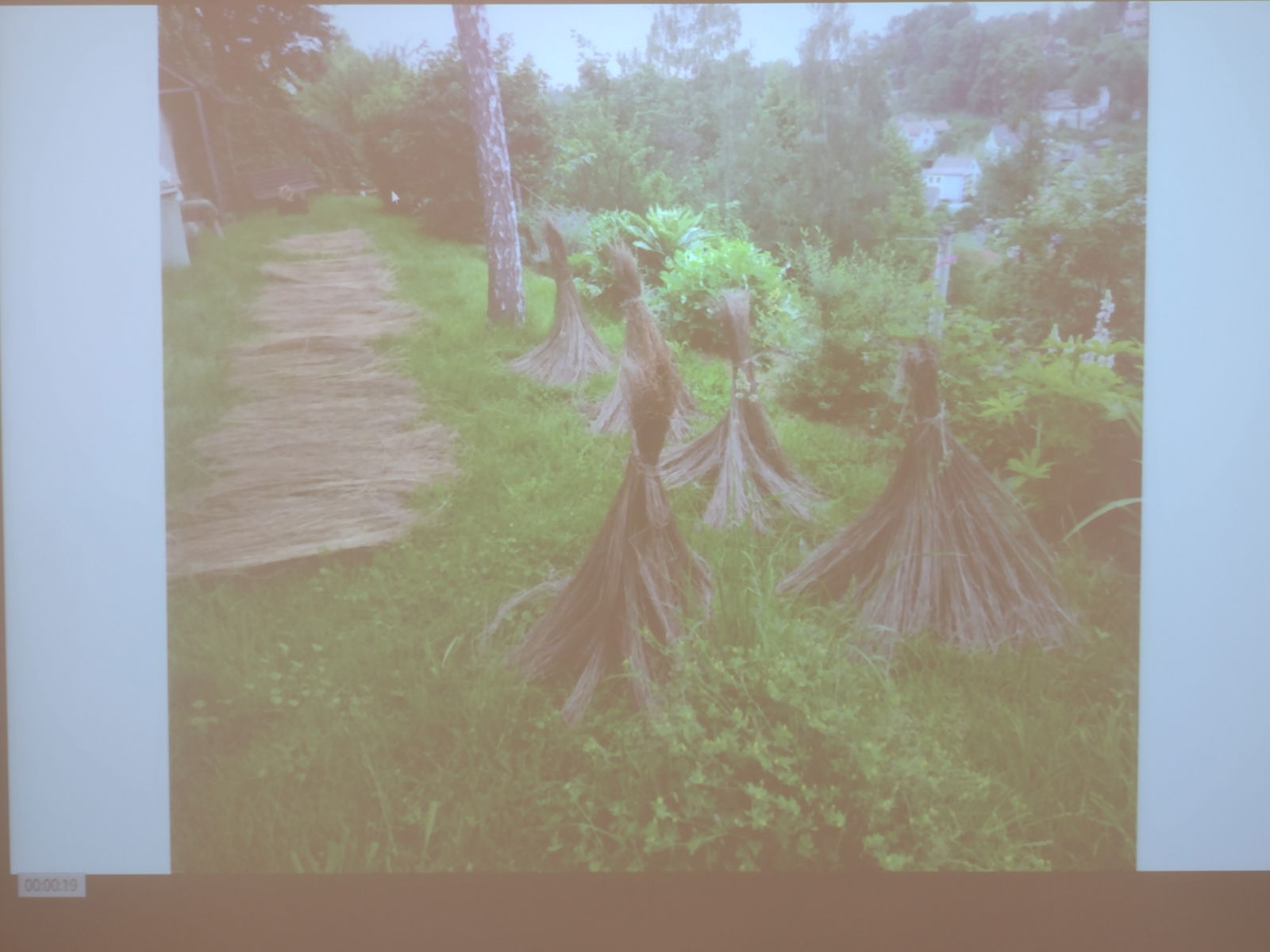 IMG_20260218_080720557