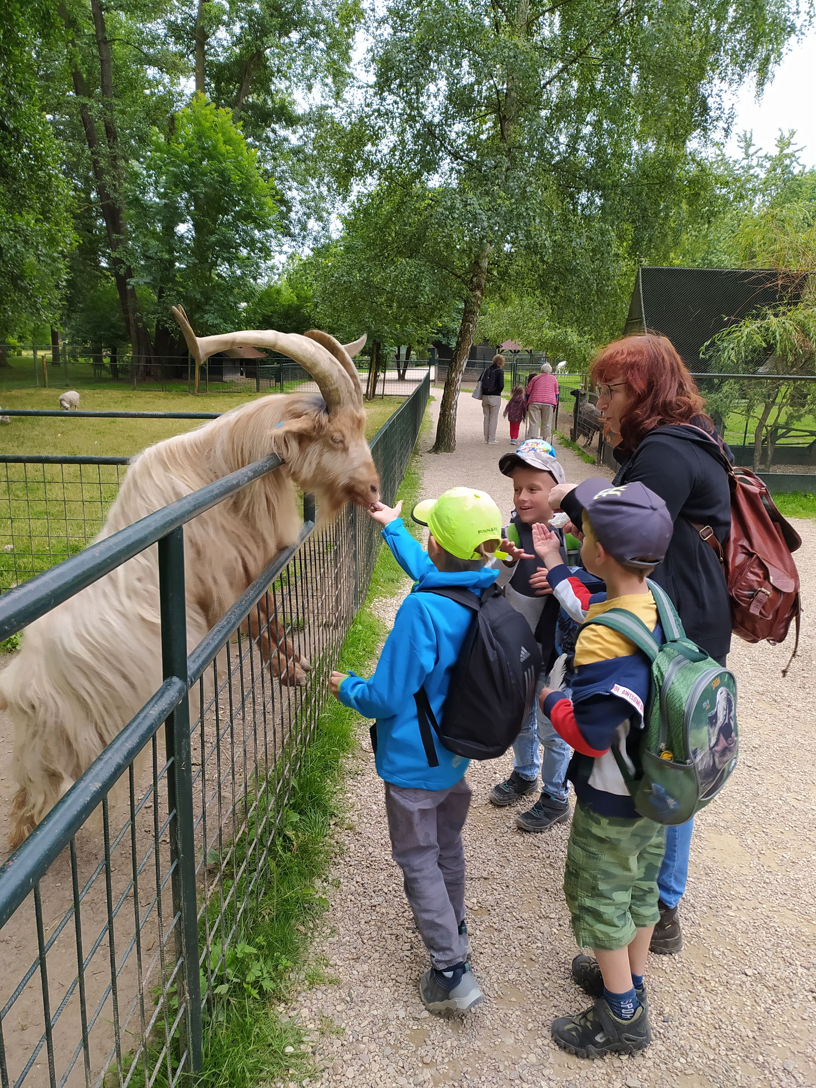 IMG_20240613_120849(1)