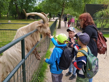 IMG_20240613_120849(1)