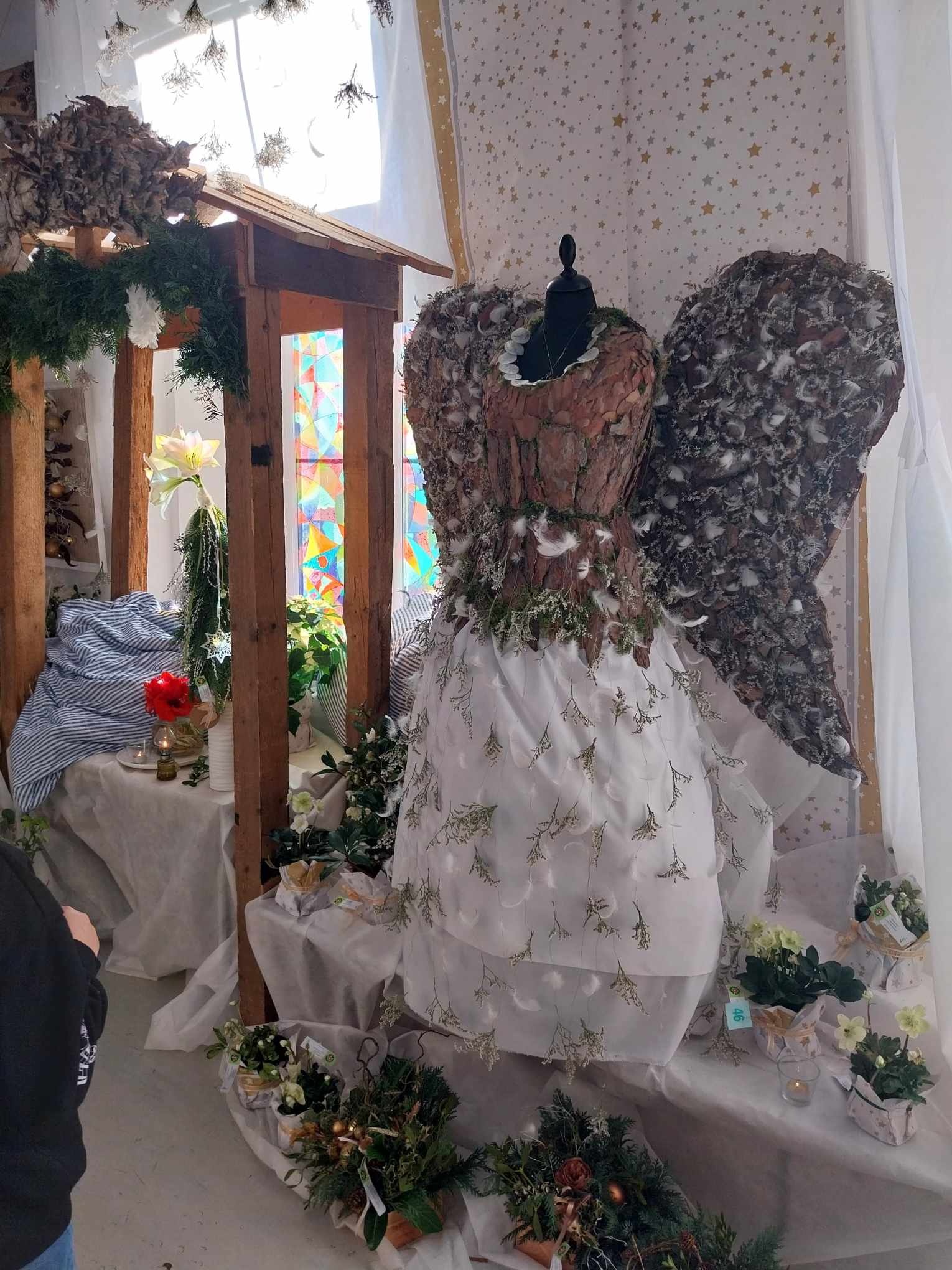 406683944_657390642981053_2665856681496142389_n - kopie