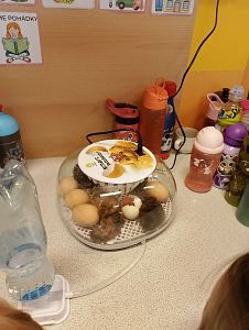 s9ie8bxq05ljkeej1qv6uaf8kxu5cm-0x300