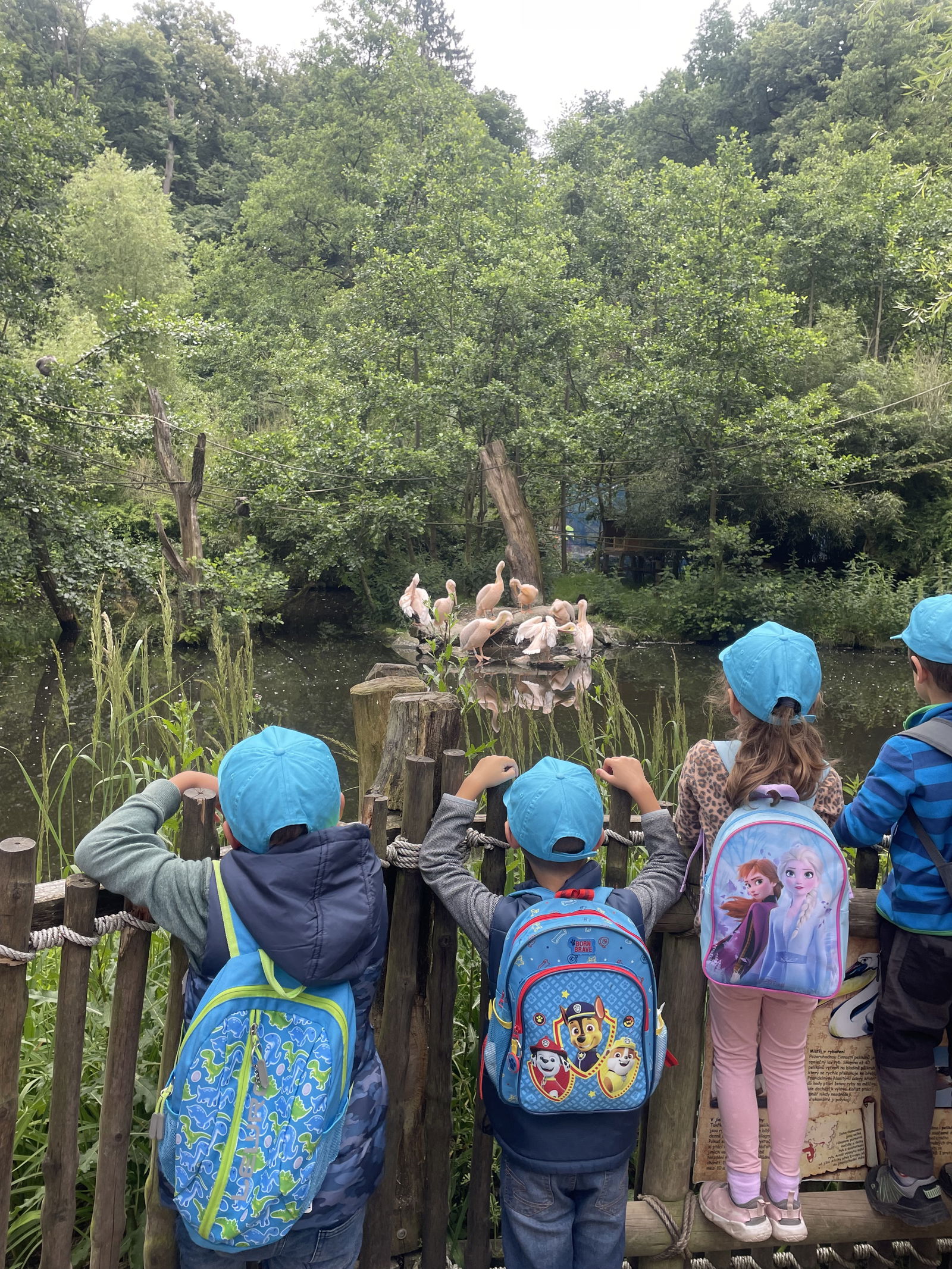 b45egbdgxtqaow5vo7fdj