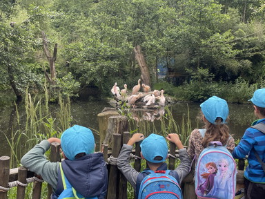 b45egbdgxtqaow5vo7fdj