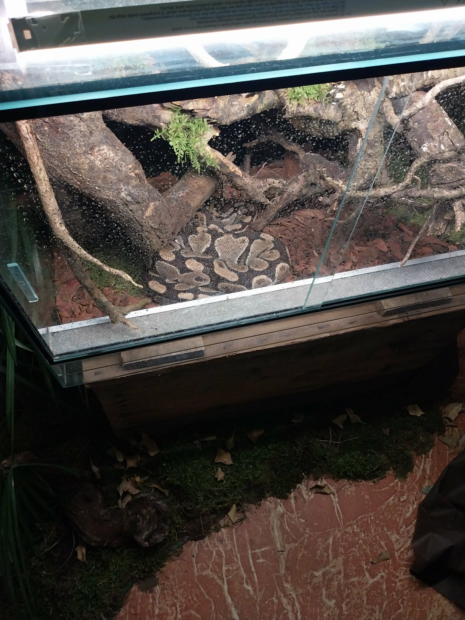 3dcd20ab-e26f-4c36-95bf-f191d435b0b5