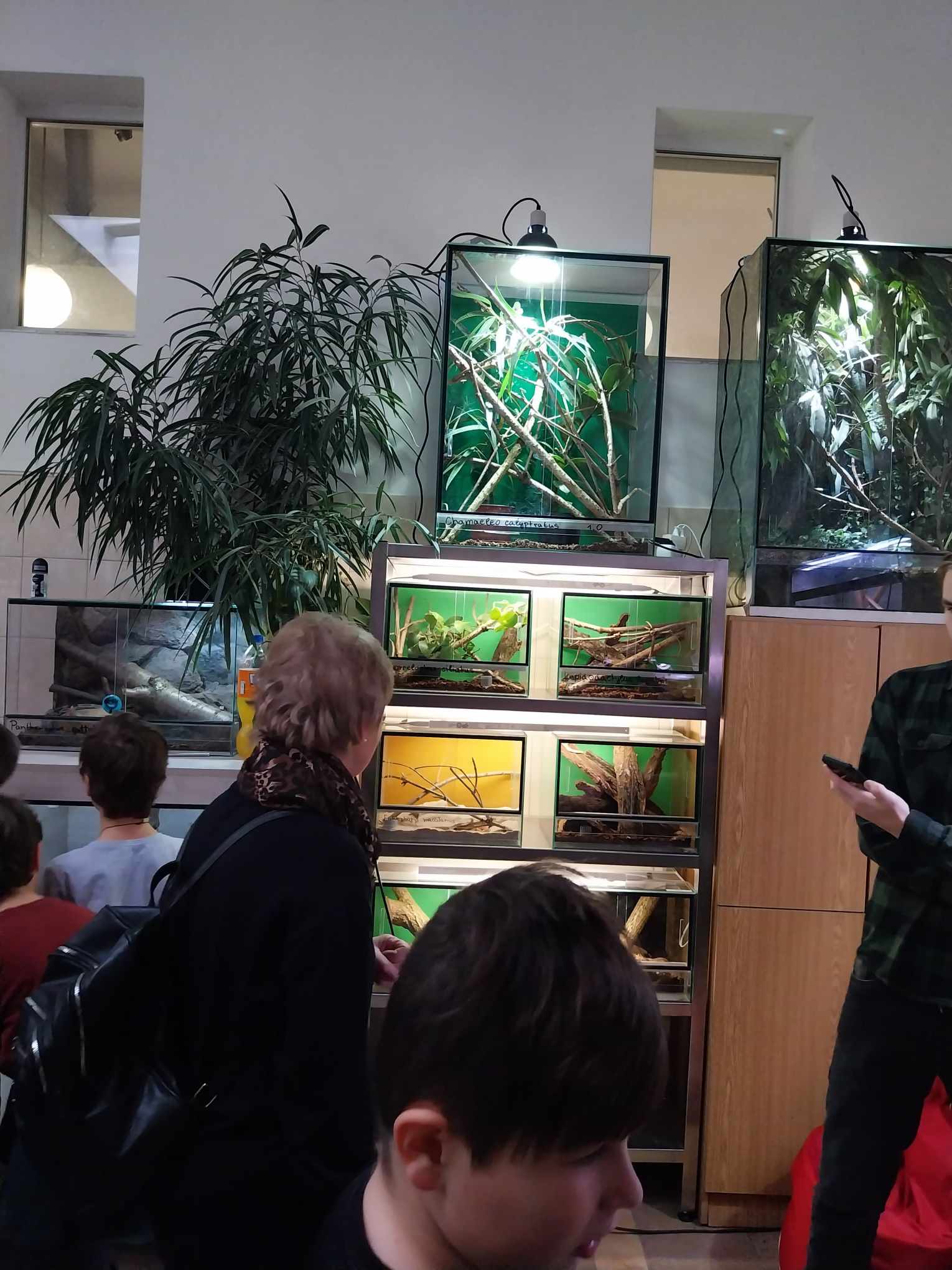 462579727_888940793281891_6567907333693652721_n