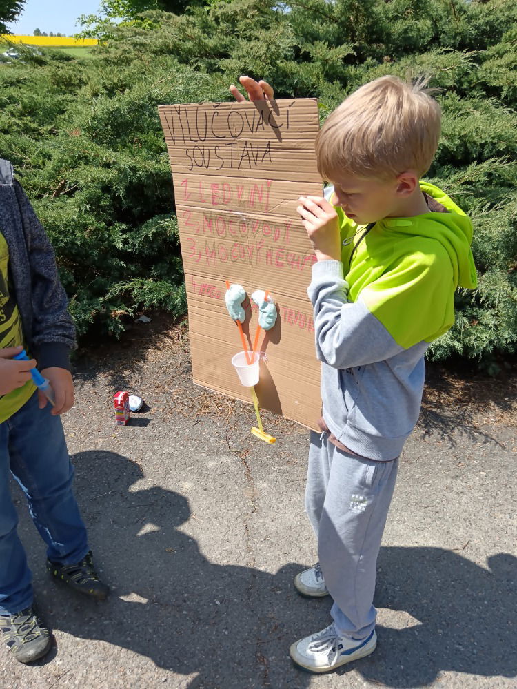 IMG_20250513_114553_1