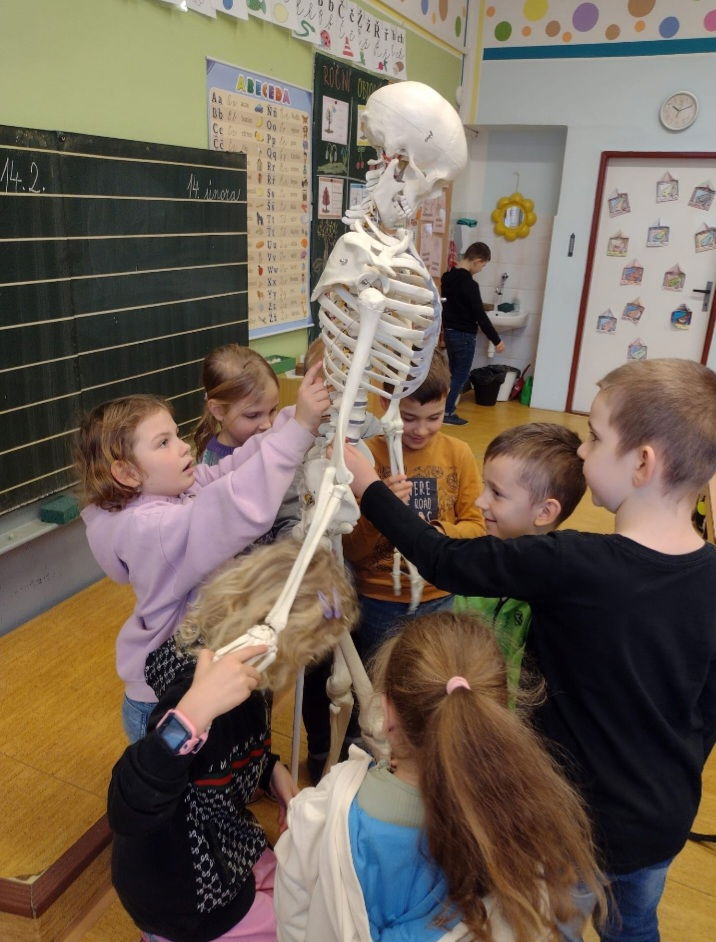 Screenshot_20250228_125841_WhatsApp